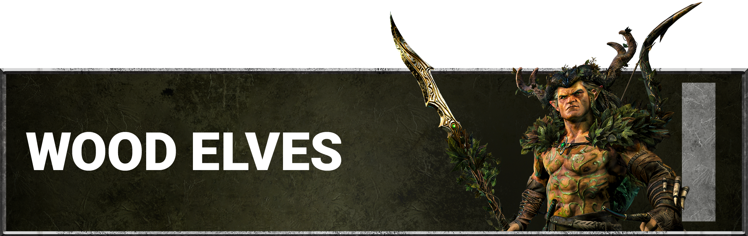 Warhammer_Release_Notes_Header_Wood_Elves.png