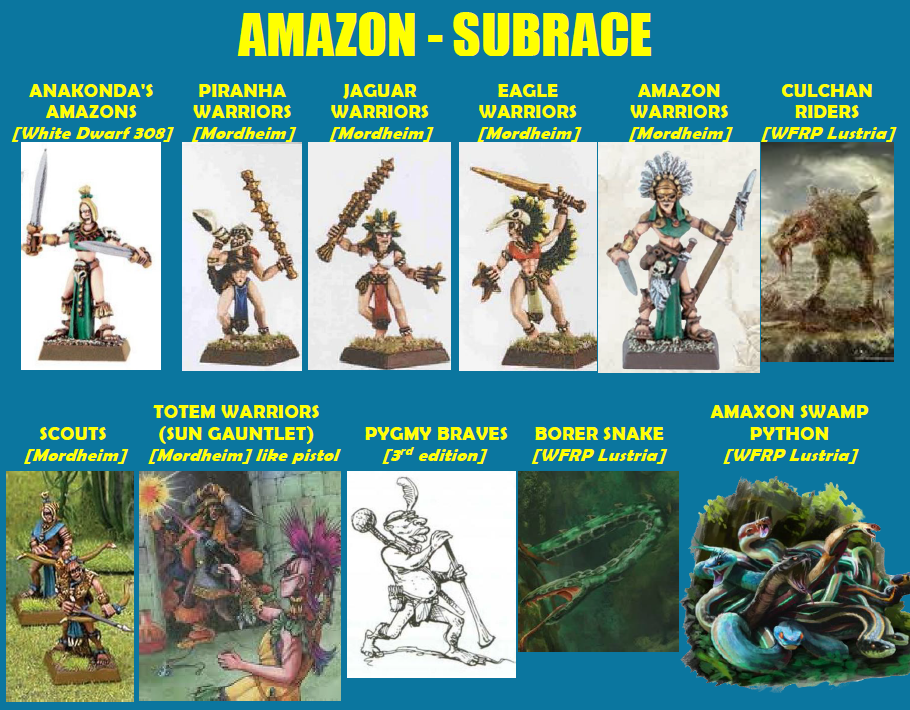 AMAZON.png