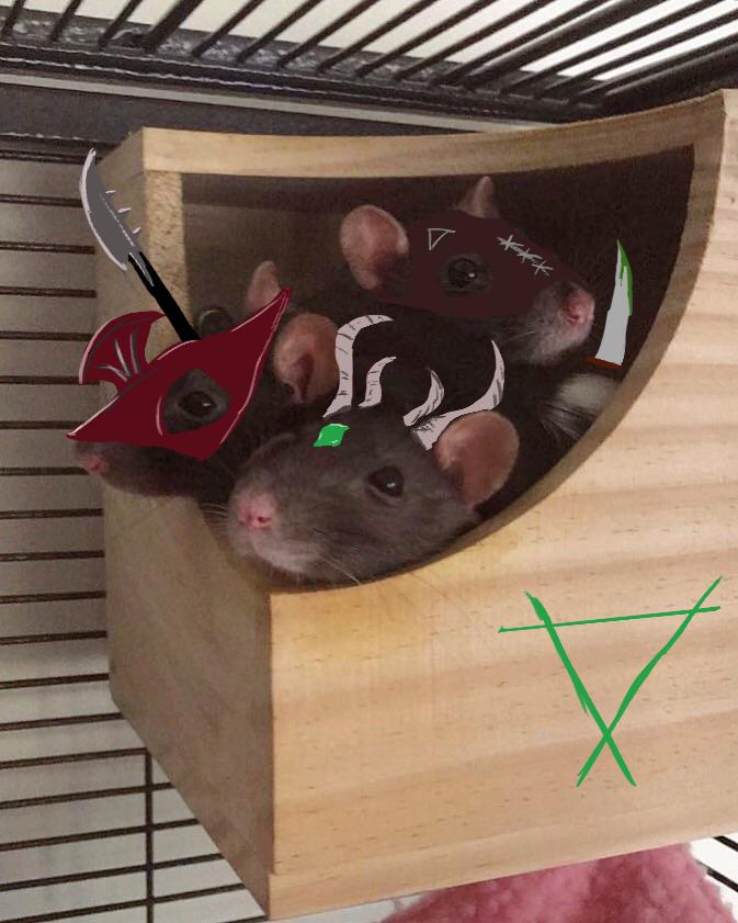 cute-skaven-v0-xnf32sqzr0bc1.jpeg